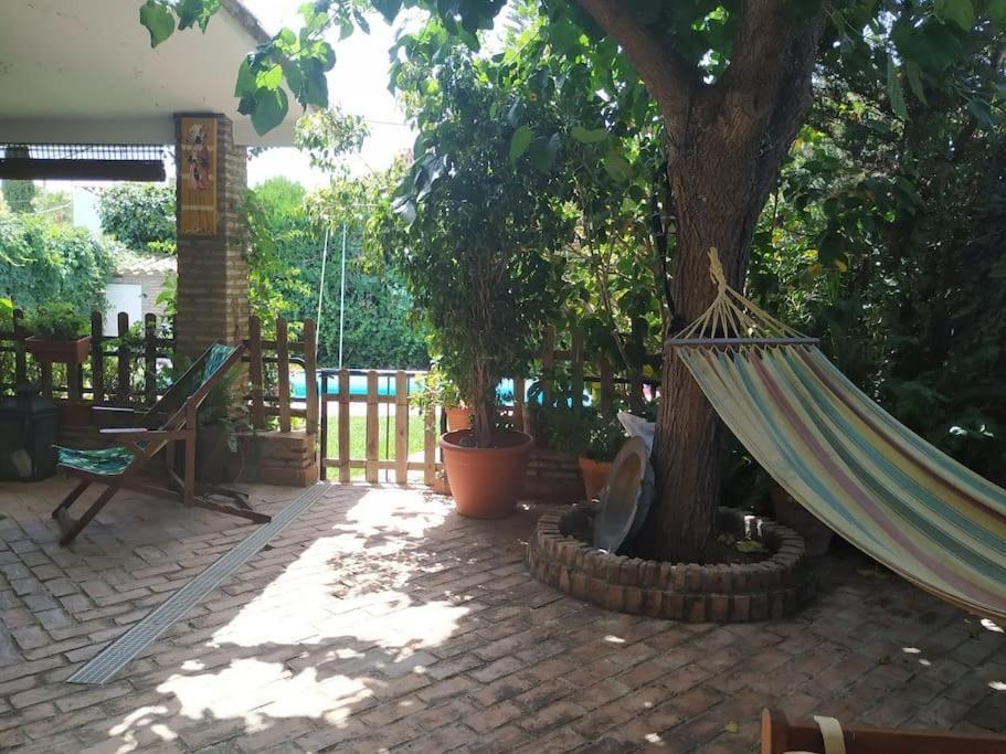 Dormir Entre Limones, Casa De Invitados En Vivienda Familiar Dos Hermanas Bagian luar foto