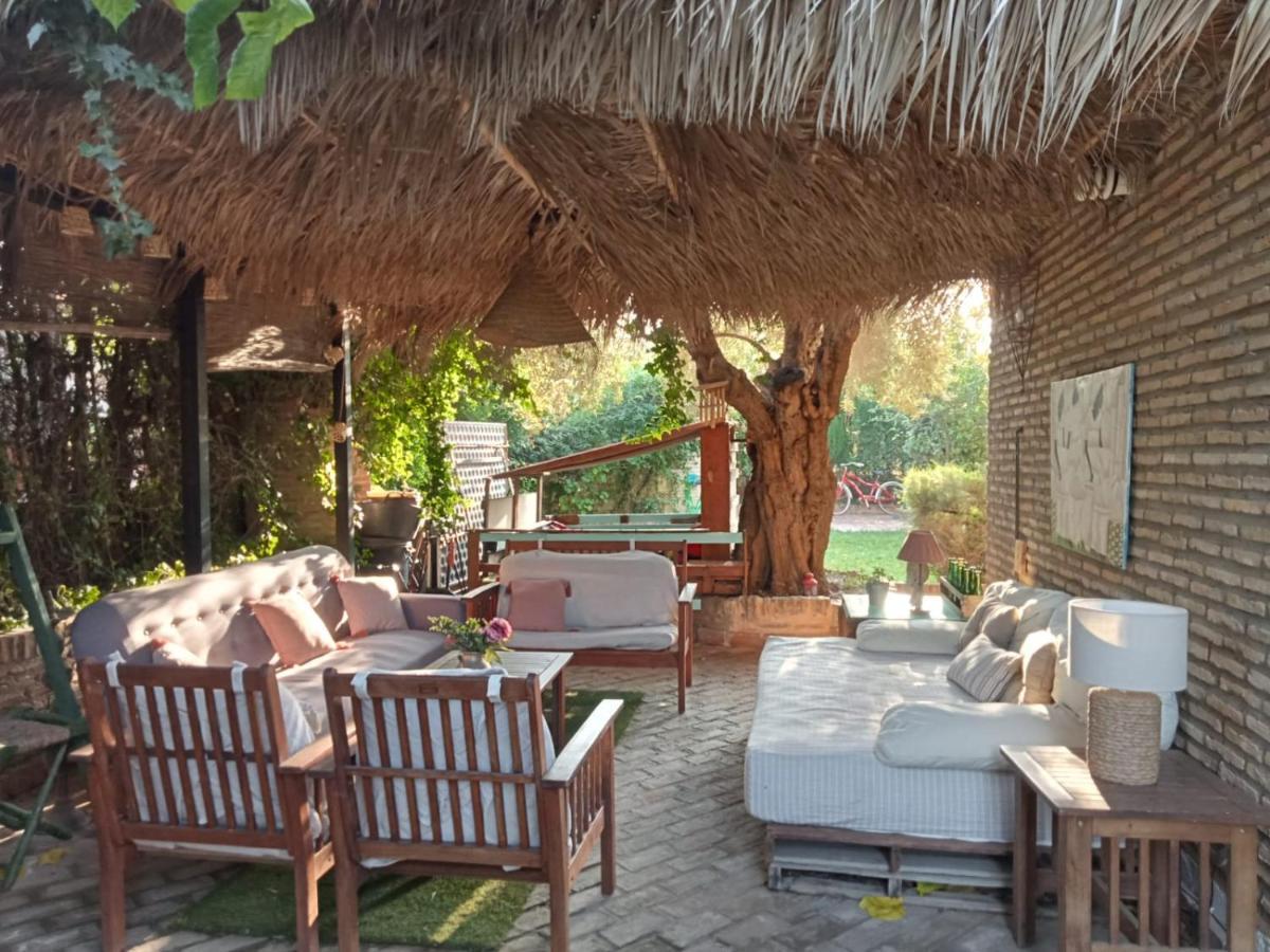 Dormir Entre Limones, Casa De Invitados En Vivienda Familiar Dos Hermanas Bagian luar foto